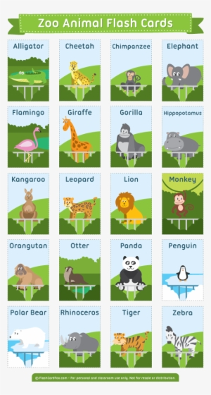 Description - Flash Card Zoo Animal