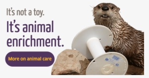 It's Animal Enrichment - Franklin Park Zoo