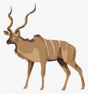 I Need Your Help I Want To See Who Is Available To - Bongo