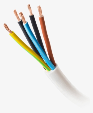 Man - Networking Cables