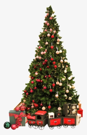 Next - Albero Di Natale Png