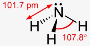 Ammonia Dimensions From Greenwood&earnshaw 2d - Structural Formula Of Nh3