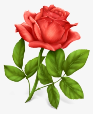 Single Rose Free Download Transparent Png Images - Red Rose Icon