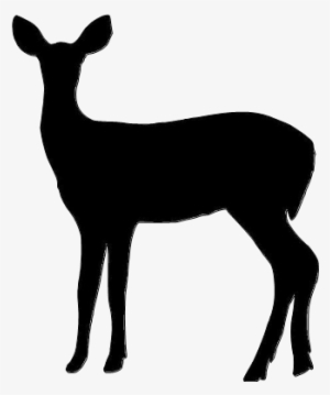 Quote Png - Harry Potter Doe Silhouette