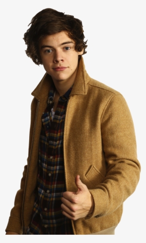 Harry One Direction Png