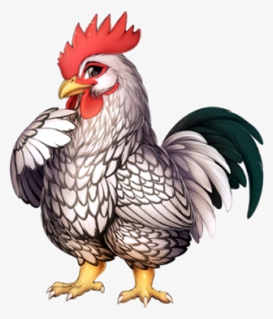 275 36 276 36 - Chicken