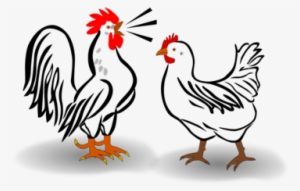 Cochin Chicken Leghorn Chicken Plymouth Rock Chicken - Chicken Rooster Clip Art