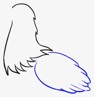 How To Draw Chicken - Sketch