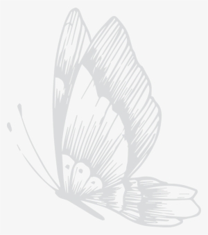 Please Indicate Your Preferences And Wildlife Specific - Jim's Jungle Retreat