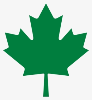 Leaf Png - Green Canadian Maple Leaf