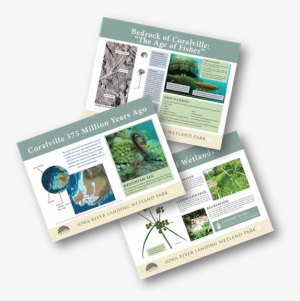 More Recently The Wetland Park Has Undergone Further - Brochure