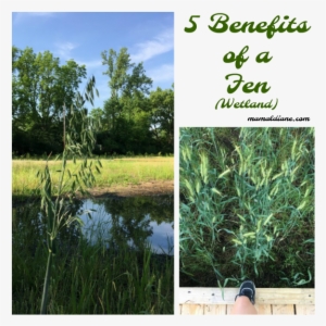 We Moved Into This Neighborhood About 20 Years Ago - Afiq Yunos