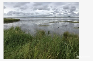 Wetland On Tibetan Plateau Threatened By Global Warming