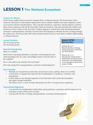 The Wetland Ecosystem