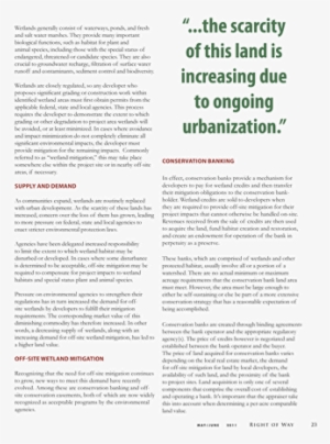 Resume Summary Examples