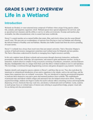 Life In A Wetland - Common Myna