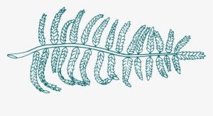 Fern Green