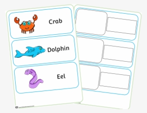 Sea Animal/creature Word Cards - Sea