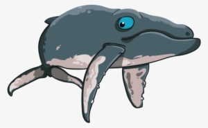 Cartoon Funny Humpback - Humpback Whale