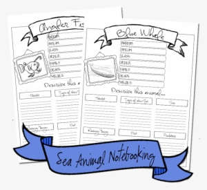 Seaanimals Notebooking2 - Cartoon