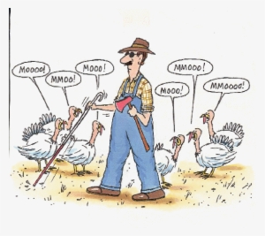 Happy Friday Everyone - Memes Dia De Accion De Gracias