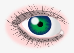 Green Eye Svg Clip Arts 600 X 437 Px