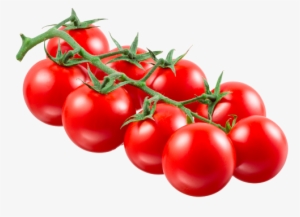 Category - Tomate Rama Png