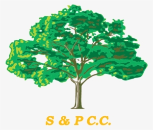 Shapwick And Polden Cricket Club - Divine Intervention V - A Guide To Healing