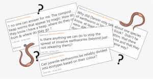Earthworm Questions From Twitter - Earthworm