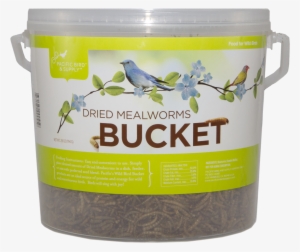 Dried Mealworm Bucket - Pacific Bird Dried Mealworms - Dried Mealworms 5lb