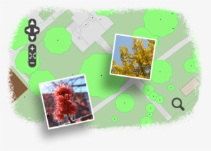 View The Interactive Map - Map