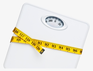 Scale Tape Measure - Tape Measure