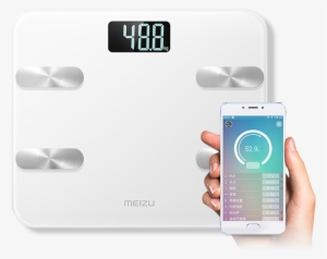Lightbox Moreview - Body Fat Percentage