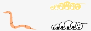 Worm Clipart Straight 13 Source - Clip Art