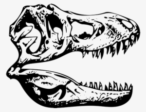 T-rex, Tyrannosaurus, Fossil, Dinosaur - Illustration