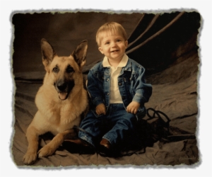 German Shepherd Dog With Child - German Shepherd Puppies With Children