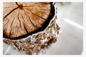 Lucite Side Table - Poly(methyl Methacrylate)