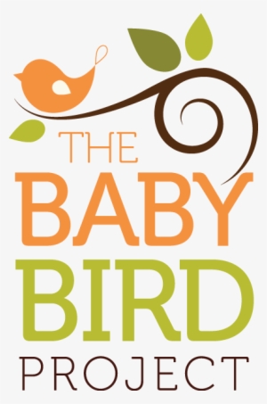 Baby On Board Sign Vector