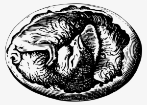 Tiger Bird Egg Lovebird - Bird In Egg