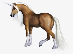 Unicorn