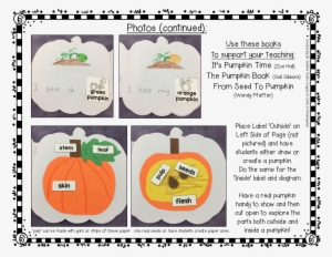 Pumpkin Shape Book Target Dollar Spot Pumpkin Books - Book