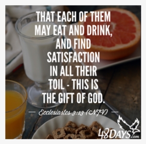 Apparently God Wants Me To Be Miserable - Official Site Dan Miller