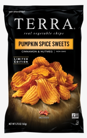 Terra Pumpkin Spice Chips