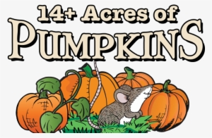 Extra Fee Attractions - Pumpkin