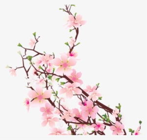 Cherry Blossom Clipart Transparent Tumblr