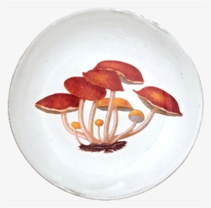 Agaric Amer Soup Bowl - Agaric
