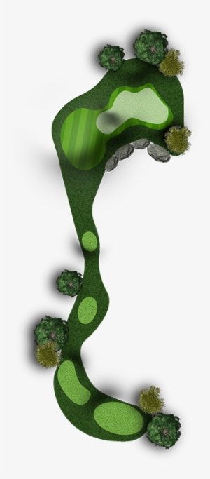 A Huge Hole In The Ground - Maidenhair Tree