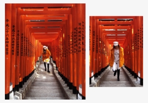 It Was Kind Of Surreal Seeing The Temple Being Surrounded - Shinto Shrine