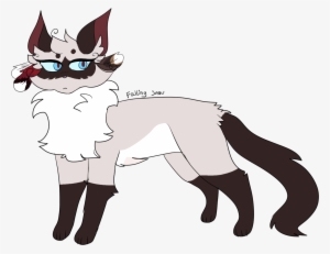 Recent Images - Cat Yawns