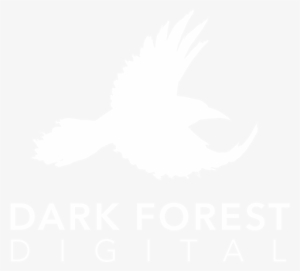 Dark Forest Digital - Estadio Municipal De San Bernardo